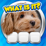 Guess it! Zoom Pic Trivia Game Mod